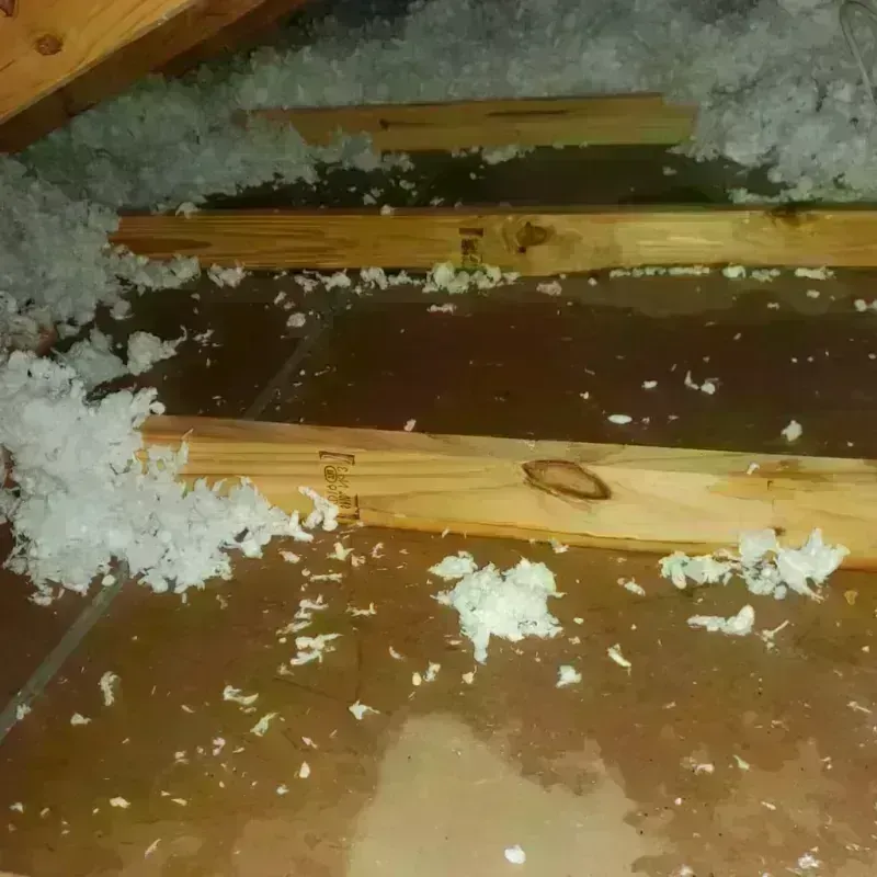 Attic Water Damage in Quail Creek, TX