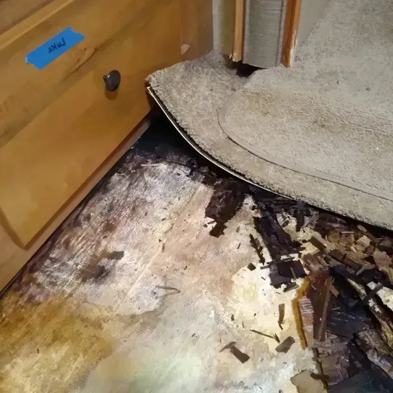 Best Wood Floor Water Damage Service in Quail Creek, TX